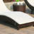 Raellen Outdoor Chaise Lounge