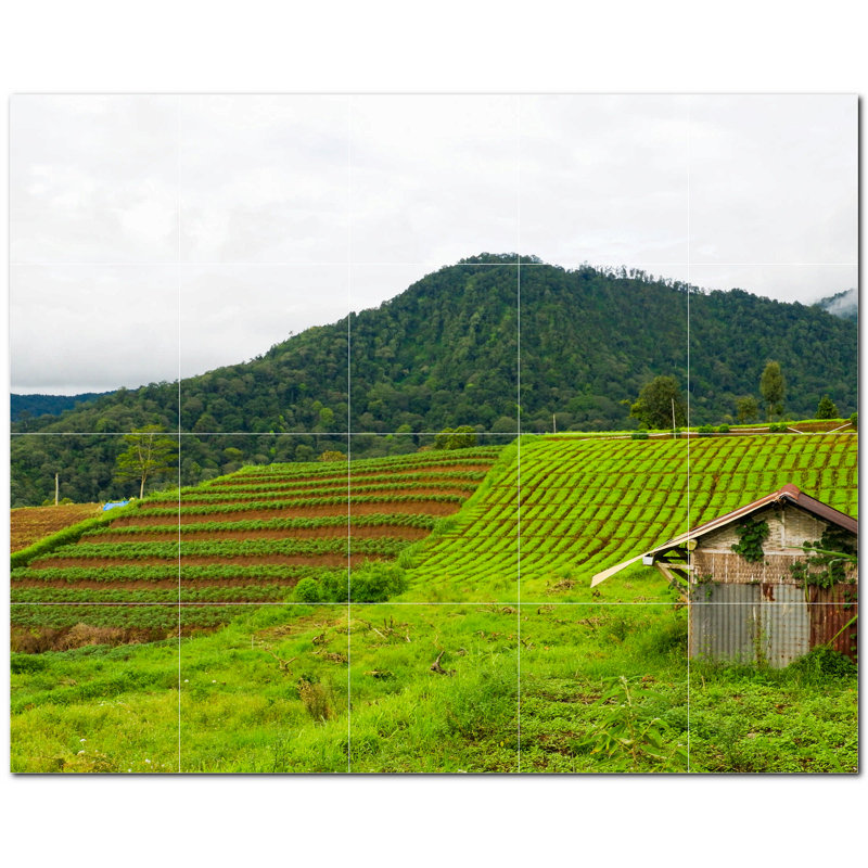 Farm Photo 8'' x 8'' Satin Ceramic Decorative Mural