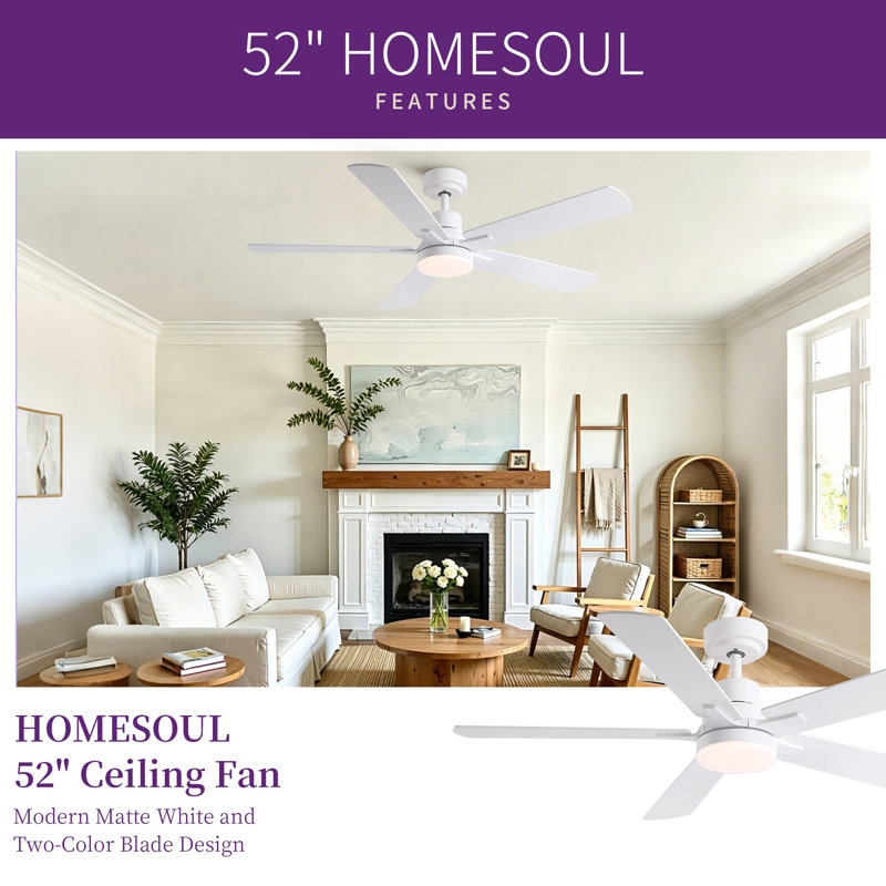 Homesoul 52" Modern Ceiling Fan With Light And Remote Control 3Cct Dimmable Reversible Dc Motor Timer Memory, 52"