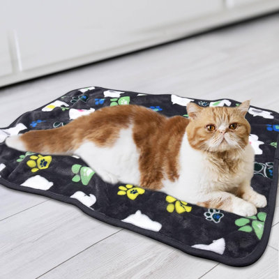 Pet Blanket