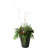 Cara Ribbed Composite Pot Planter-1394217547