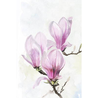 Magnolia Blooms II by Jennifer Paxton Parker - Wrapped Canvas Painting