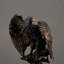 Animals Statue