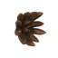 Compactum Succulent Wall Art, Imperial Bronze