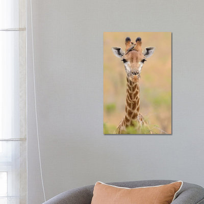 Giraffe With Oxpeckers by Elmar Weiss - Wrapped Canvas Print