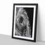 Watchful Elephant - Framed Print-55612206-55612210