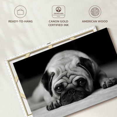 Brampt Sad Pug