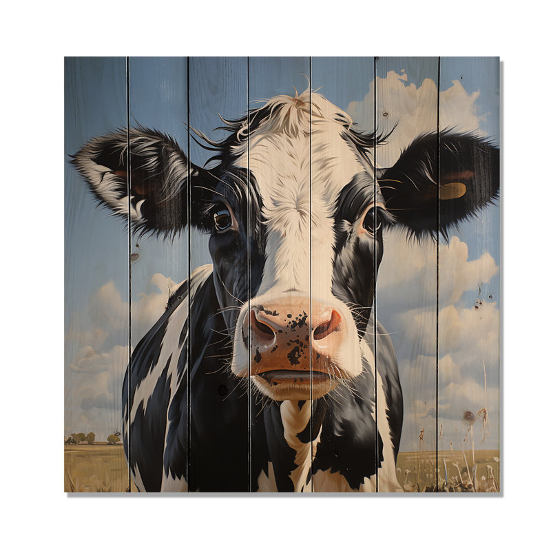 Vache noire et blanche broutant les prés II - animal de vache sur bois, H 36 po x l 36 po