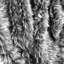 Couverture en fausse fourrure Luxury Wolf-500757340