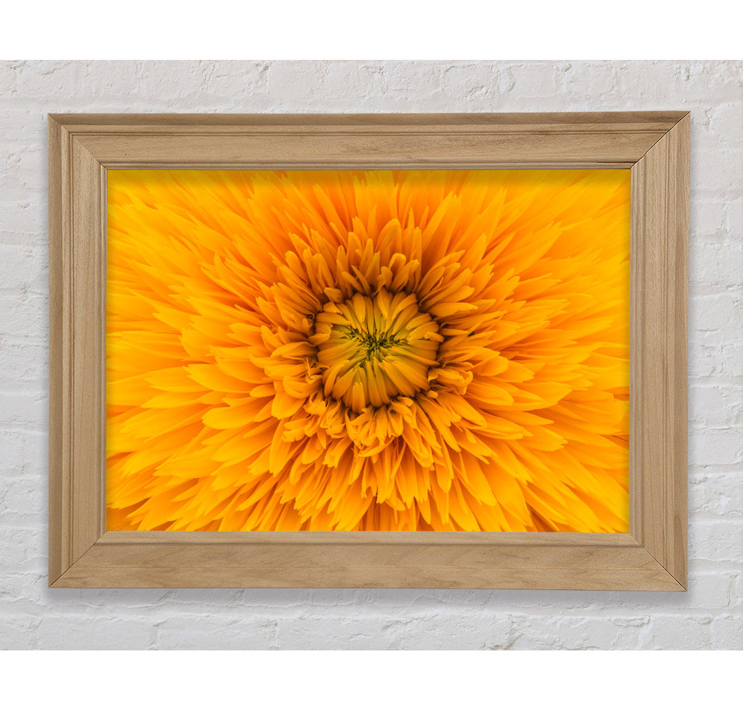 Gorgeous Yellow Flower Delight - Einzelner Bilderrahmen Kunstdrucke