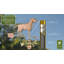 Girouette Labrador Retriever-12272462-3133712