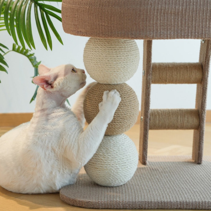 Multi-Level Cat Tree Tower