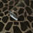 Lenno Animal Print Roll