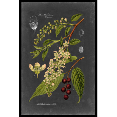 «Midnight Botanical II» par Vision Studio - impression sur toile tendue