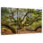 Harnek Extensive Oak Tree-107980731