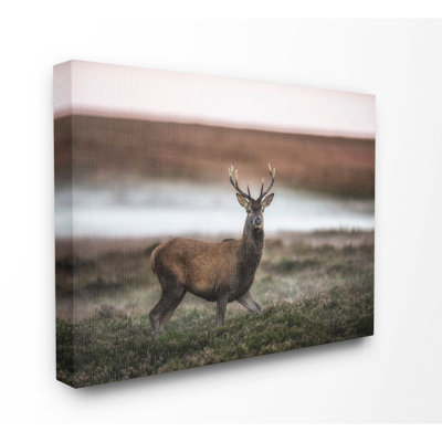 «Wild Deer Animal Landscape Photo», impression sur toile