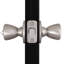 Bouton de porte d'entrée Tulip-7224866-7224867