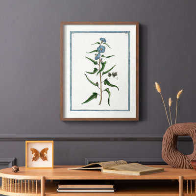 Shabby Elegance Botanical I, reproduction encadrée - bois massif