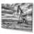 Toile tendue