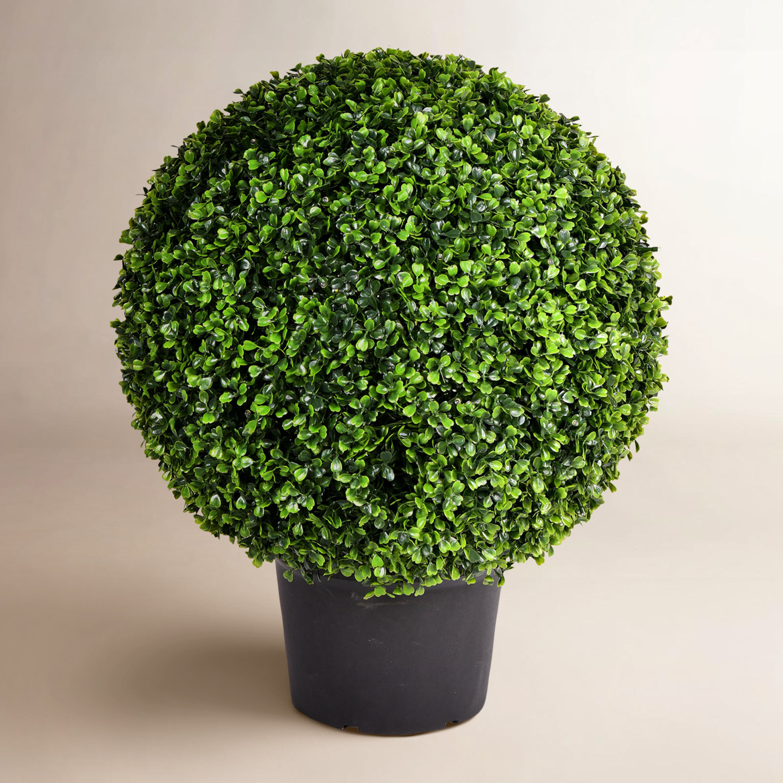 29" Boxwood Topiary in Pot, 29" H x 24" W x 24" D