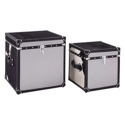 Johnathan 2 Piece Cowhide Stainless Steel Storage Trunk Set