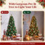 Fir Christmas Tree-900500794