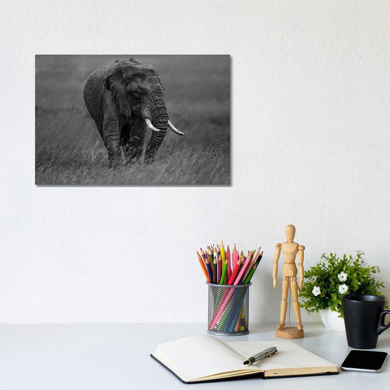 Graphite by Massimo Mei - Wrapped Canvas Print, 20.32 cm H x 30.48 cm W
