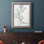 «Silver Dollars I», reproduction sur toile encadrée-806384196