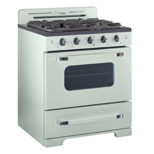 https://assets.wfcdn.com/im/76505911/resize-h310-w310%5Ecompr-r85/1437/143702889/classic-retro-30-4-burner-39-cu-ft-freestanding-gas-range-with-convection-oven.jpg
