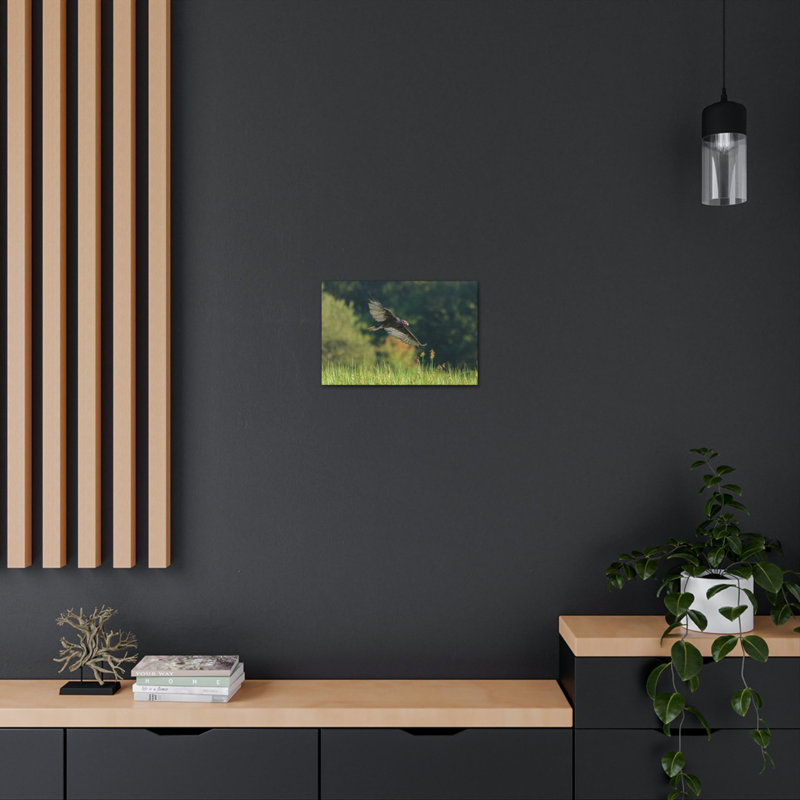 No Frame Print on Canvas, 11cm H x 14cm W