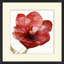 Tulip Study 1 Painting