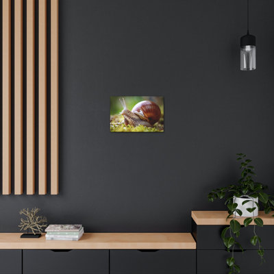 Art mural majestueux escargots