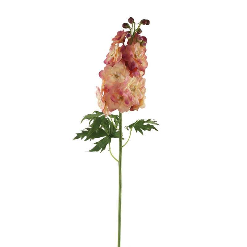 DELPHINIUM STEM