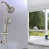 Brushed Nickel selected