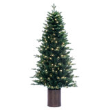 Vickerman 4.5' x 30" Potted Spruce Unlit Artificial Christmas Tree