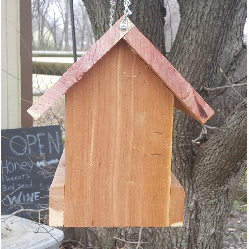 Carlyn Hanging Tray Bird Feeder