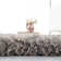 Pihu Hand Tufted Grey Area Rug
