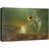 Wrapped Canvas