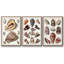 Ensemble de 3 cadres flottants sur toile-1855540833-1855540837