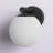 Ariannie 1 - Light Dimmable Matte Black Flush Mounted Sconce