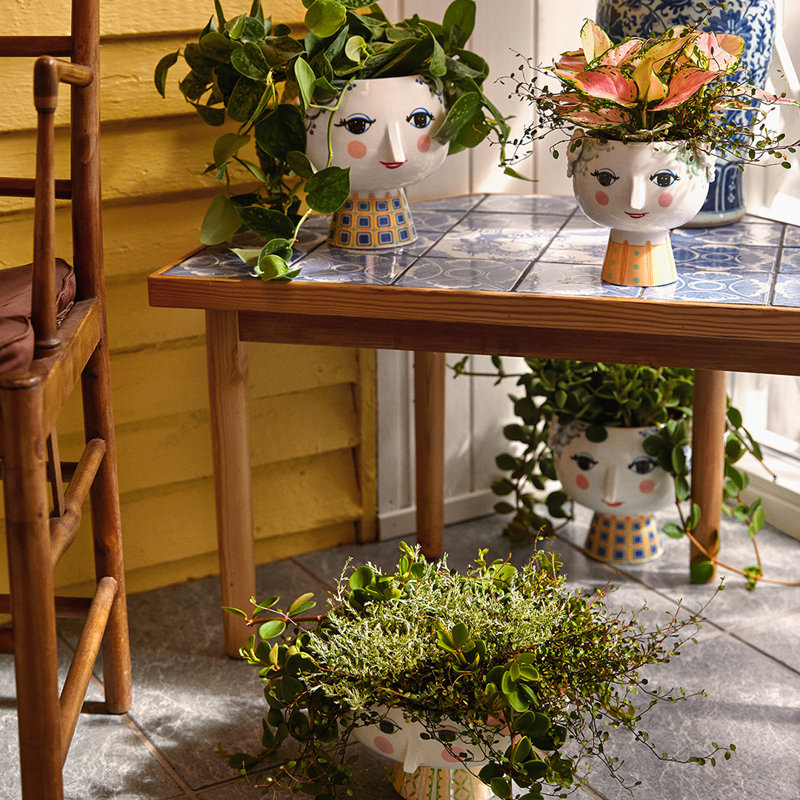 Eva Ceramic Planter