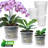 Clear Orchid Pots With Drainage & Saucers (set Of 9)