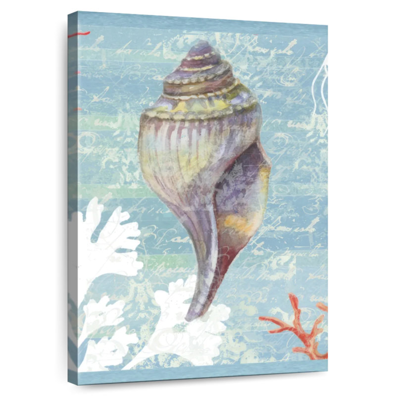 Aletra Shell Collage, 39" H x 26" W