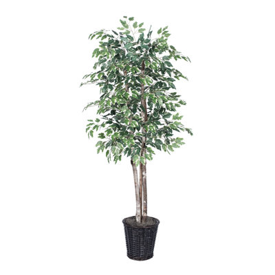 72'' Faux Plant in Wicker/Rattan Basket