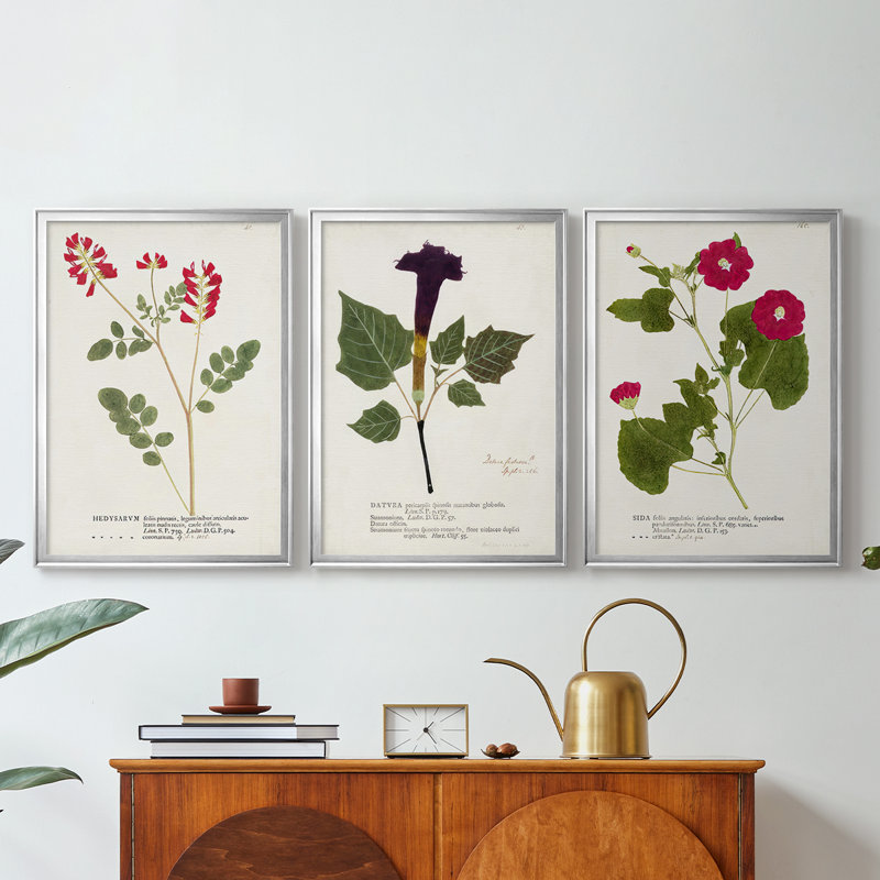 Nature imprimé Botanicals III - Toile tendue avec châssis sur mesure - 3 pièces, Argent argent, H 21 po x l 30 po