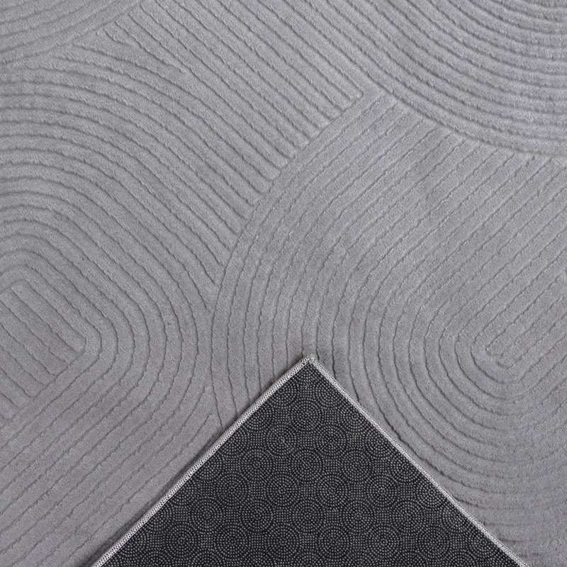 Beucher Area Rug, Runner 80 x 300 cm