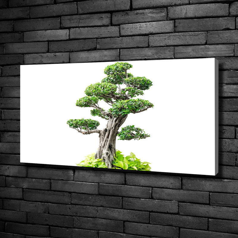 Bonsai Tree - No Frame Print on Canvas