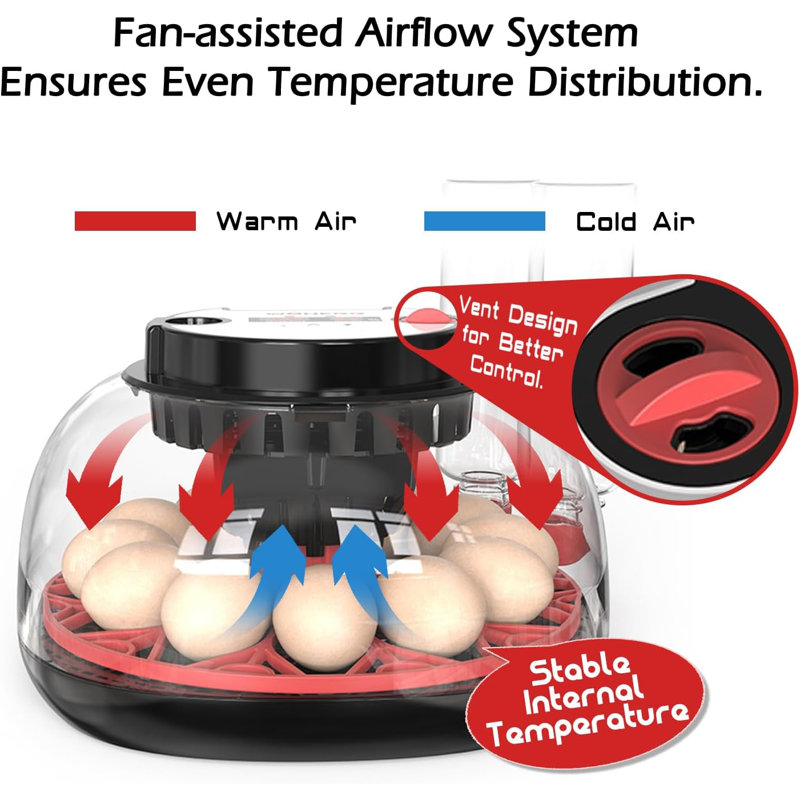 Smart Chicken Incubators for Hatching Eggs with Automatic Turner Small Poultry Duck Quail 12 Egg Incubator Temperature Control Display Hatcher Machine (M12 Pro)