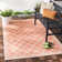 Adler Performance Geometric Indoor/Outdoor Area Rug