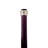 Padrone Ram's Head Decorative Walking Stick